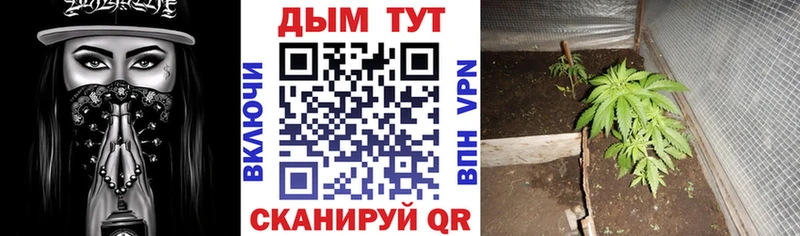 МЕГА зеркало  Бугульма  Марихуана семена 